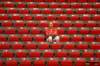 dsc_0066_small.jpg