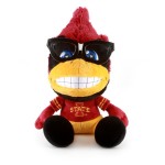 Top 10 – Iowa State Cyclones Gifts for Kids