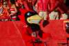 dsc_0069_small.jpg