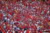 dsc_0253_small.jpg