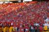 dsc_0274_small.jpg