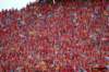 dsc_0336_small.jpg