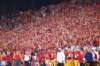 dsc_0518_small.jpg