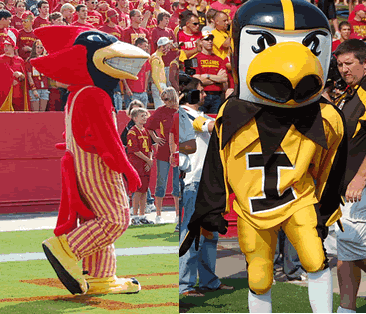 Cy-Hawk