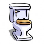 toilet